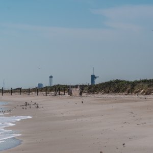 Playlinda Sept 2019 -2500px-14.jpg