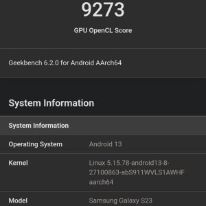 Screenshot_20230930_011145_Geekbench 6.jpg