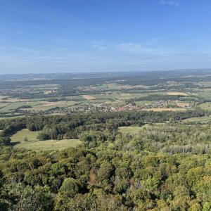 71D71891-578C-472B-9E4B-9A240EAA3369 - Grande.jpeg