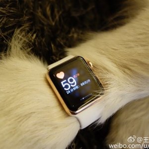 13015-7372-wang-si-cong-dog-apple-watch4-xl.jpg