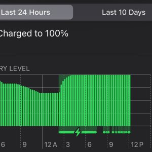 2023-10-10 12.20.25.jpg