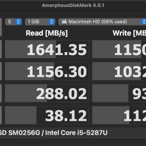 APPLE SSD SM0256G : Intel Core i5-5287U.png