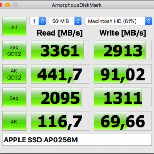 APPLE SSD AP0256M.png