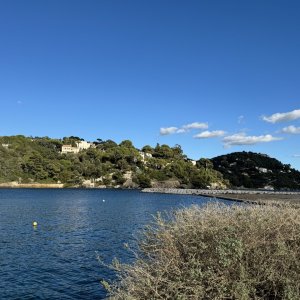 52EA919B-7D4D-4F1B-8681-C46FC792EB18 - Grande.jpeg