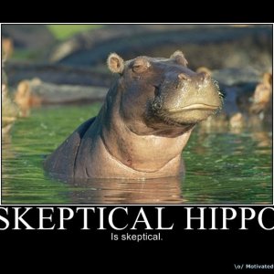 132fb581df016ea3c10ae0dd10ed976f--hippopotamus-adorable-animals-4218424261.jpg