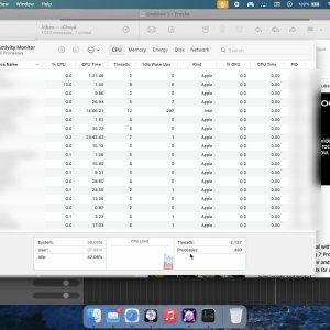 06 Activity Monitor CPU load.jpg