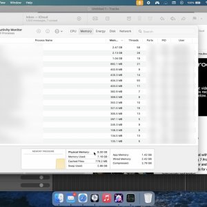 07 Activity Monitor RAM usage.jpg