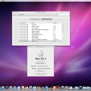 10.6.8 Mac Mini 2,1 Software Updates SG1.jpg