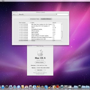 10.6.8 Mac Mini 2,1 Software Updates SG2.jpg