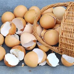 eggs in basket.jpeg