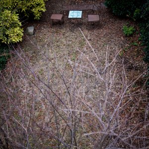 2023-12-23 ~ _R5_7798.jpg