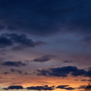 2024-01-20 ~ _R5_2744.jpg