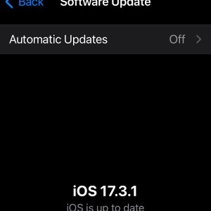 iOS_17.3.1.jpg