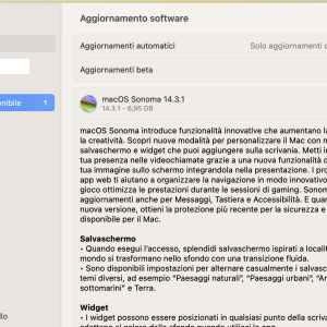 Screenshot 2024-02-20 alle 10.34.50.png