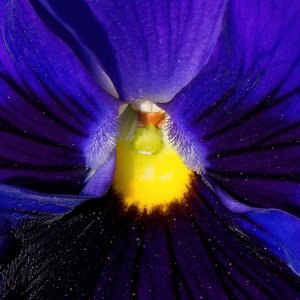 In the Center of It All.jpeg