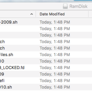 RamDisk pic.png