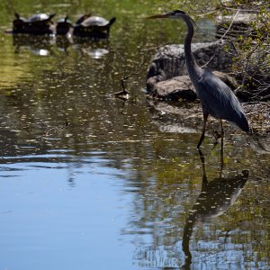 2024-04-22 ~ _R5_4029.jpg