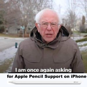 bernieApplePencil.jpg