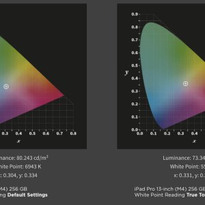 iPad Pro 13-inch (M4) White Points.jpg