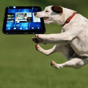 gif-dog-tablet-pc-893691.gif