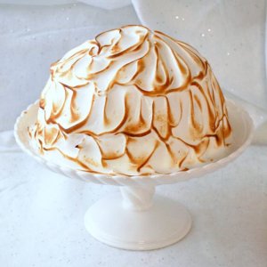 Baked-Alaska-Toasted-Whole-740x899.jpg