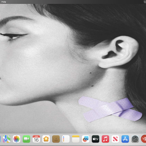 Screenshot 2024-06-16 at 10.29.27 AM.png