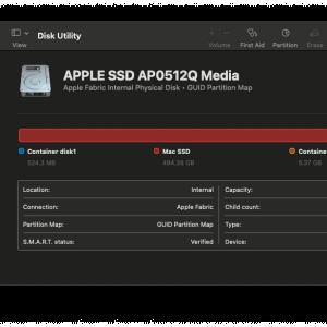 Disk-Utility_Apple-SSD.png