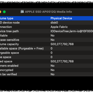 Disk-Utility_Apple-SSD_Get-Info.png