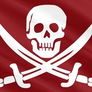 pirate flag.jpg