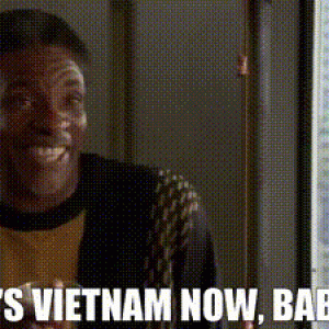 vietnam baby.gif