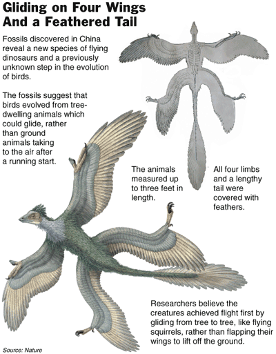 030122_sci_dinosaur.gif
