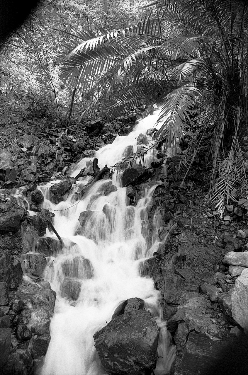 黑白負片148（Fomapan 200@125, Nikon F6） - 1 of 1.jpeg