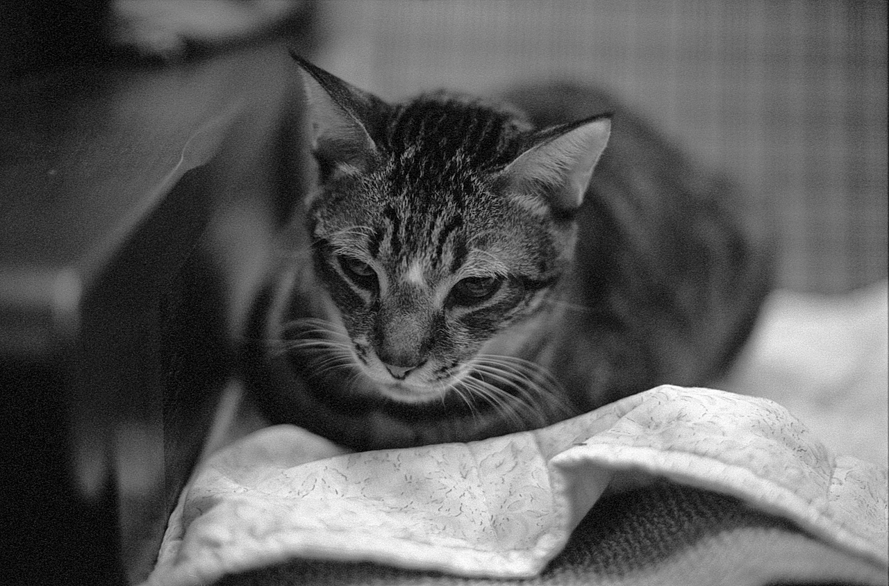 黑白負片157（Ilford XP2@400, Nikon F4） - 1 of 1.jpeg