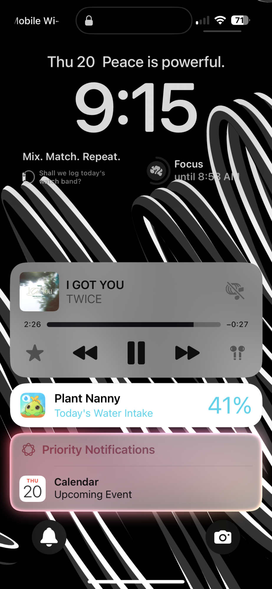 1742500392310.png