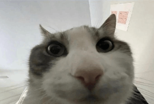 1750990895672.png