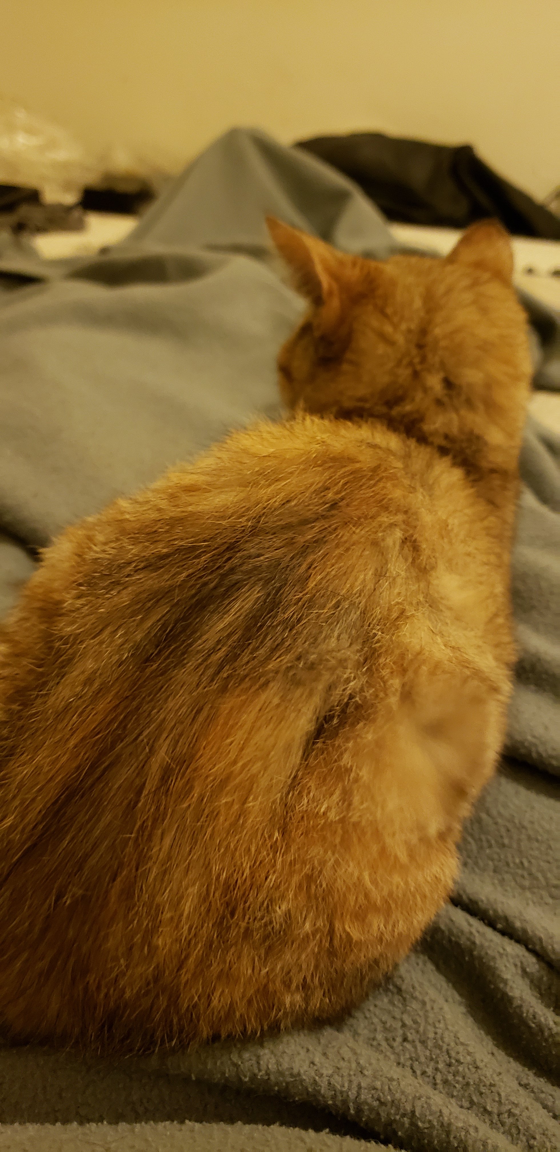 20180922_230829.jpg