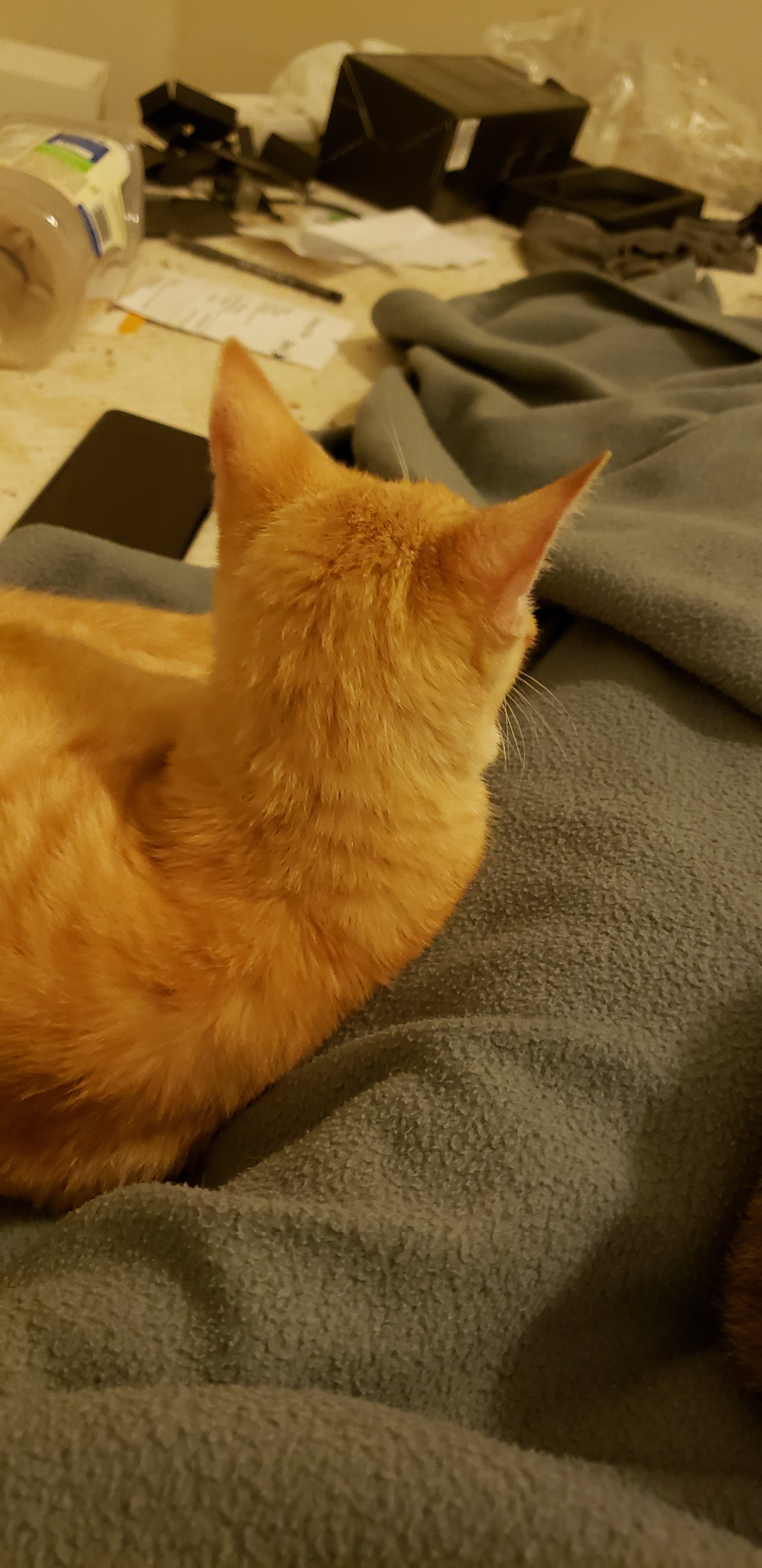 20180922_230841.jpg