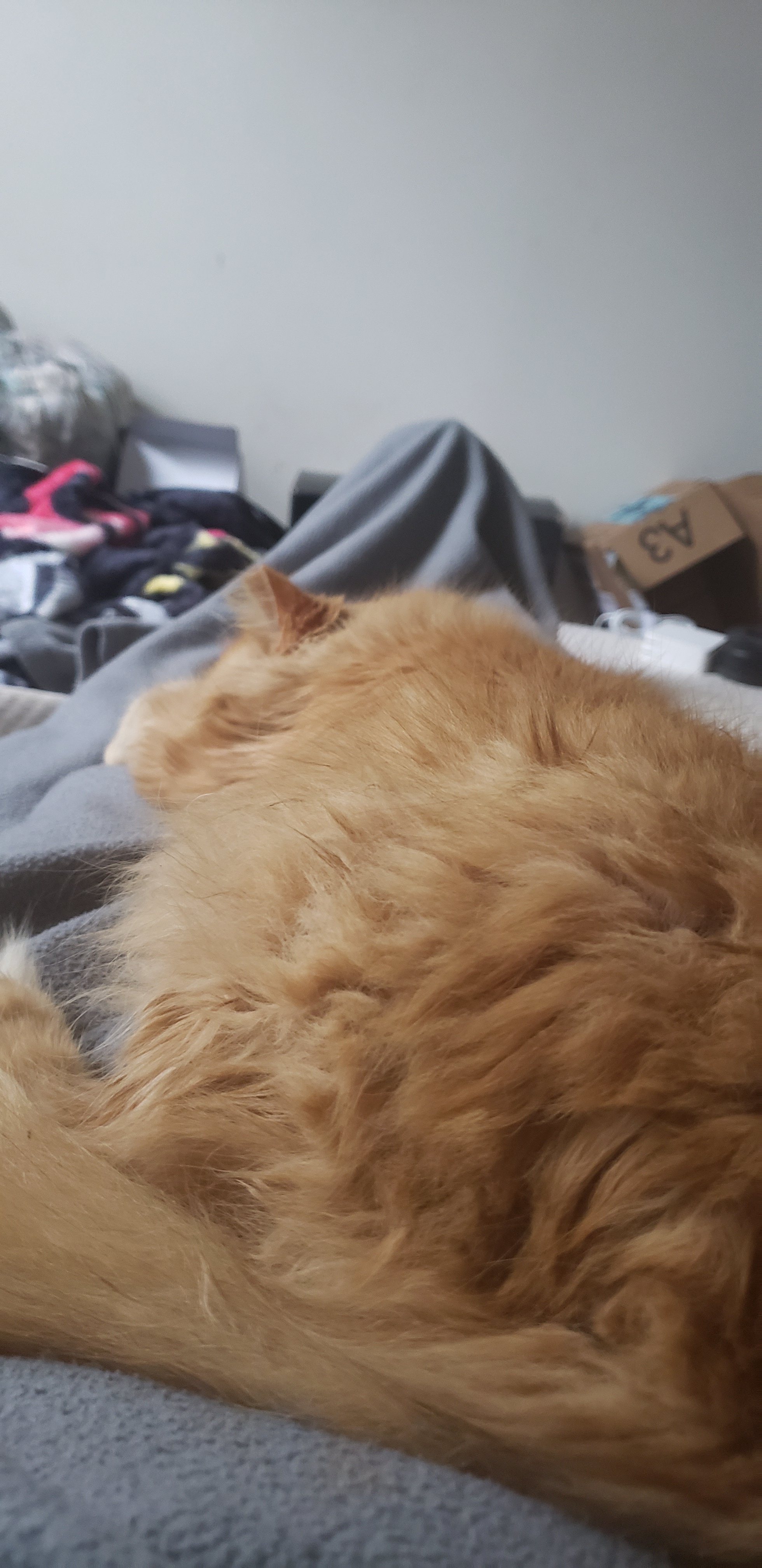 20190123_140501.jpg