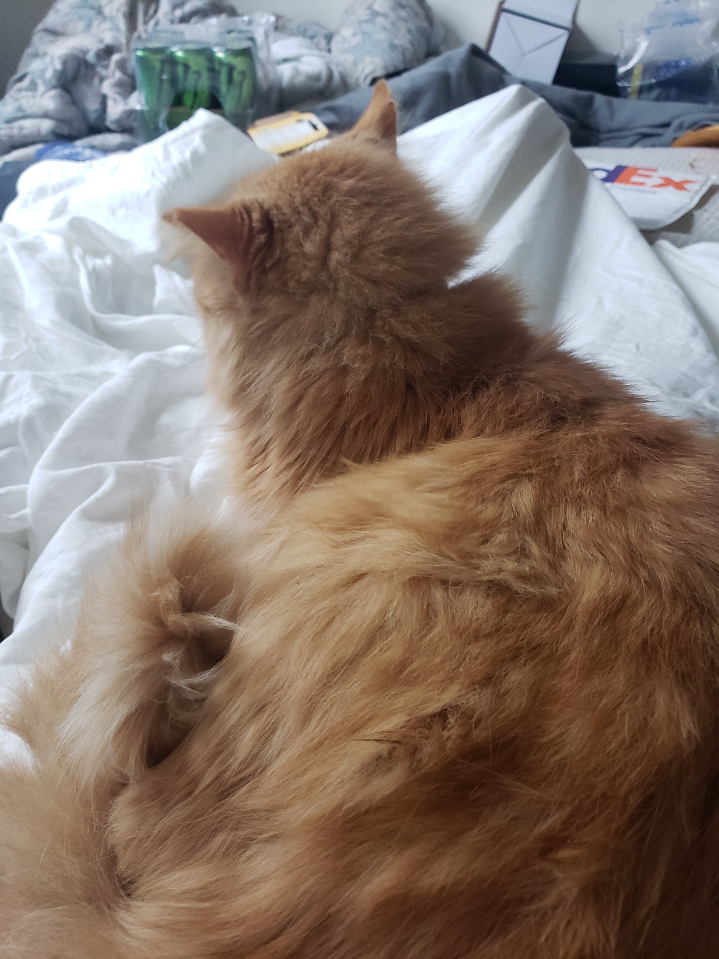 20190210_123520.jpg