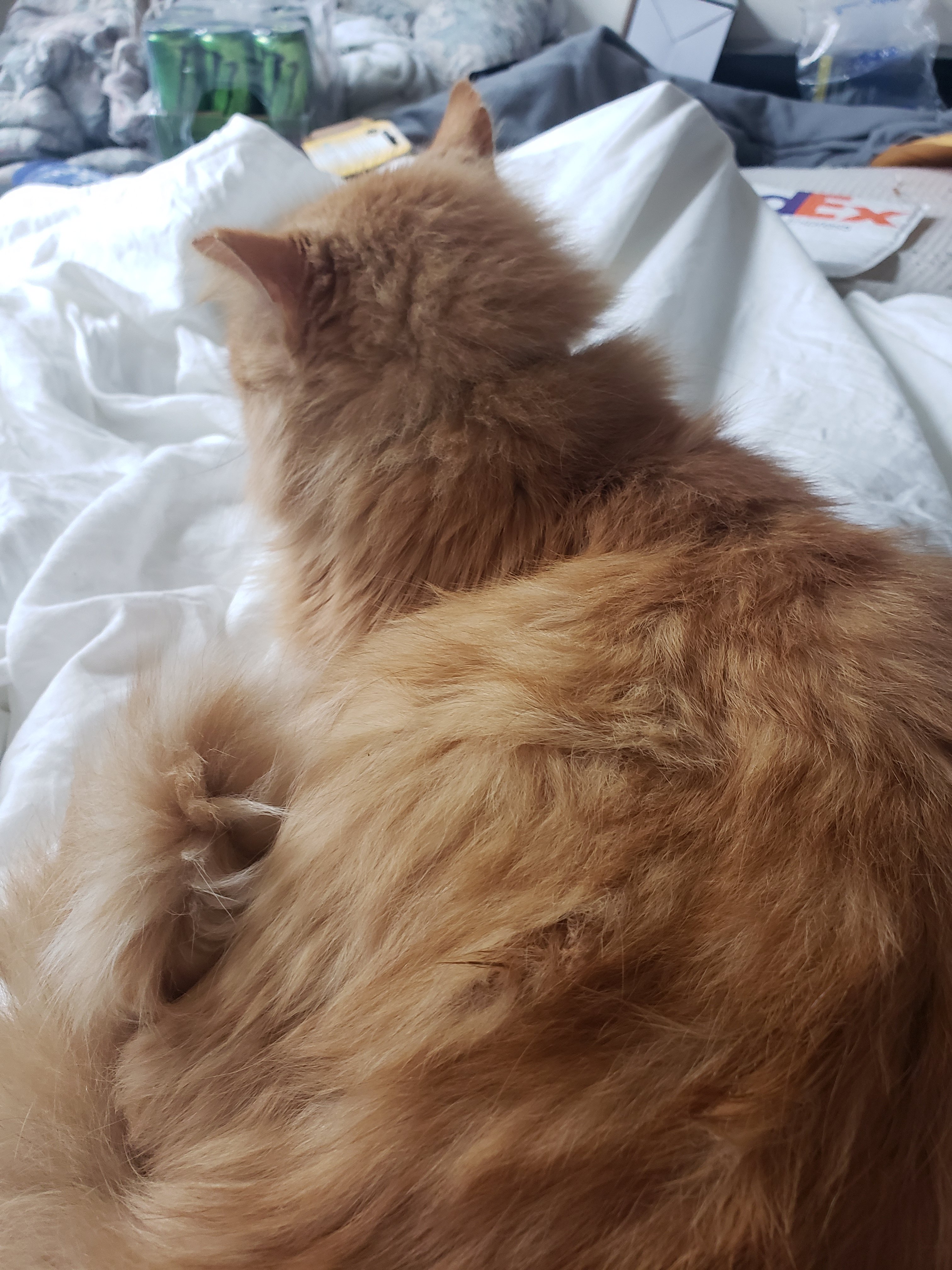 20190210_123523.jpg