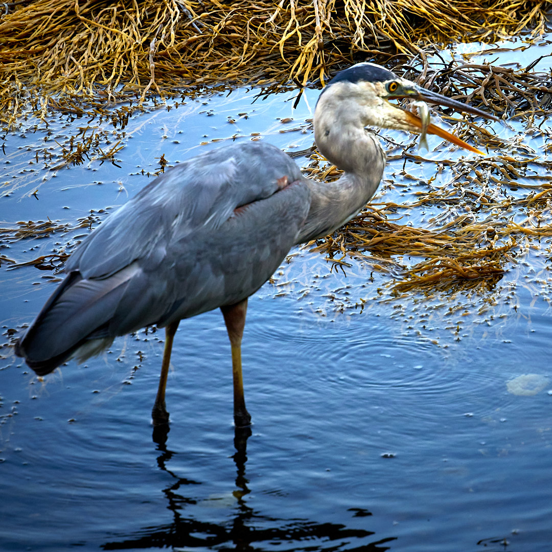 2023-09-07 ~ _r5_2544.jpeg