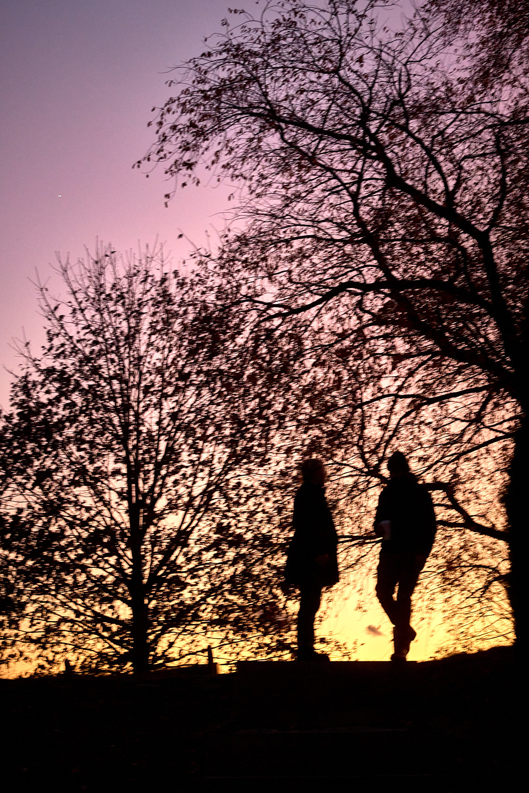 2024-11-26 ~ _R5_3206.jpg