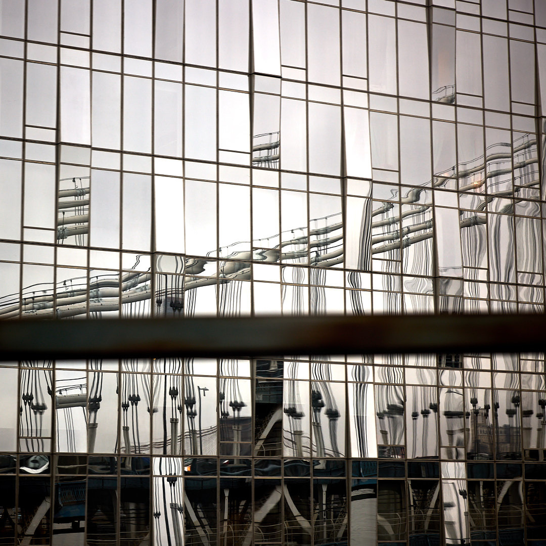 2024-11-28 ~ _R5_3496.jpg