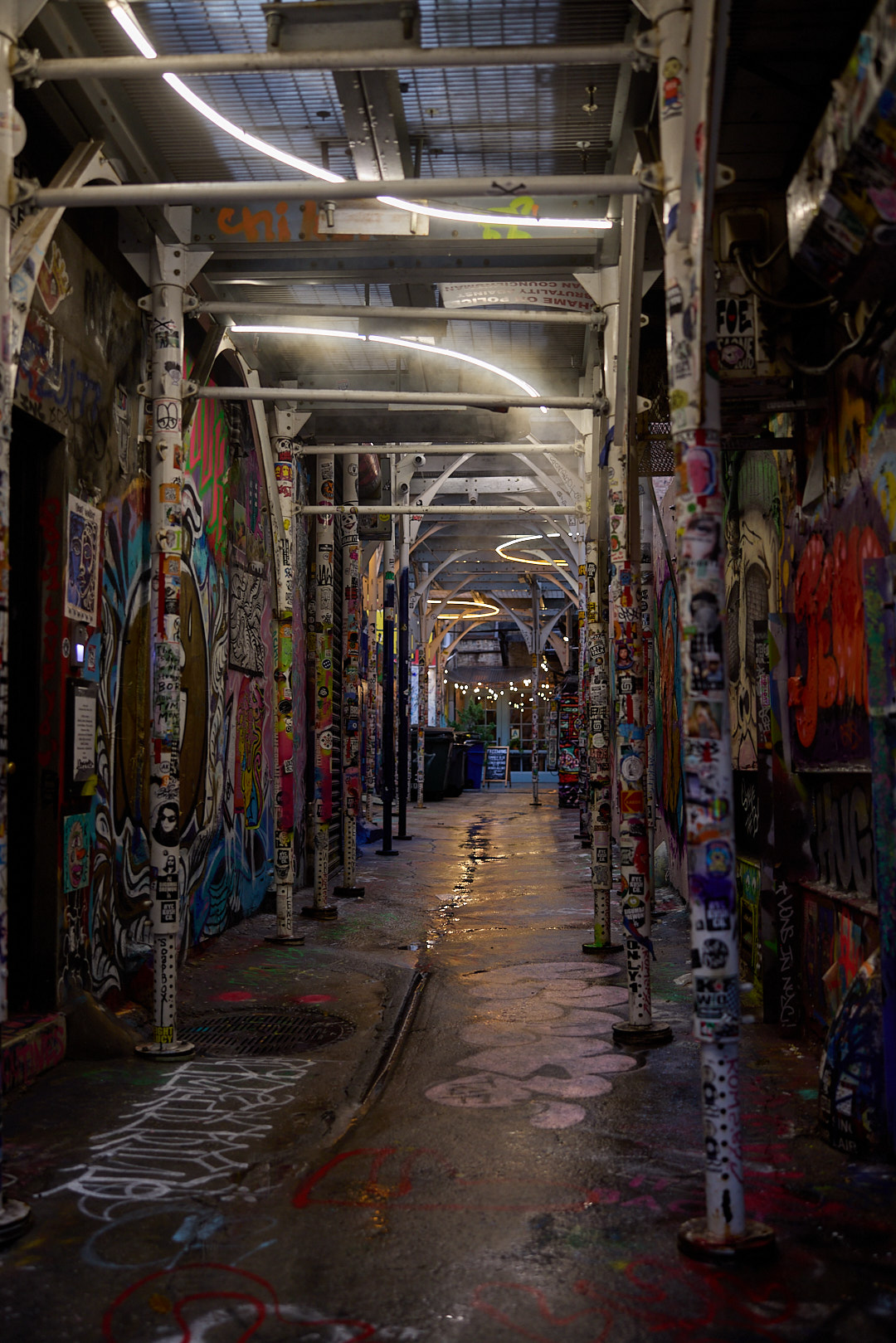 2024-11-28 ~ _R5_3526.jpg