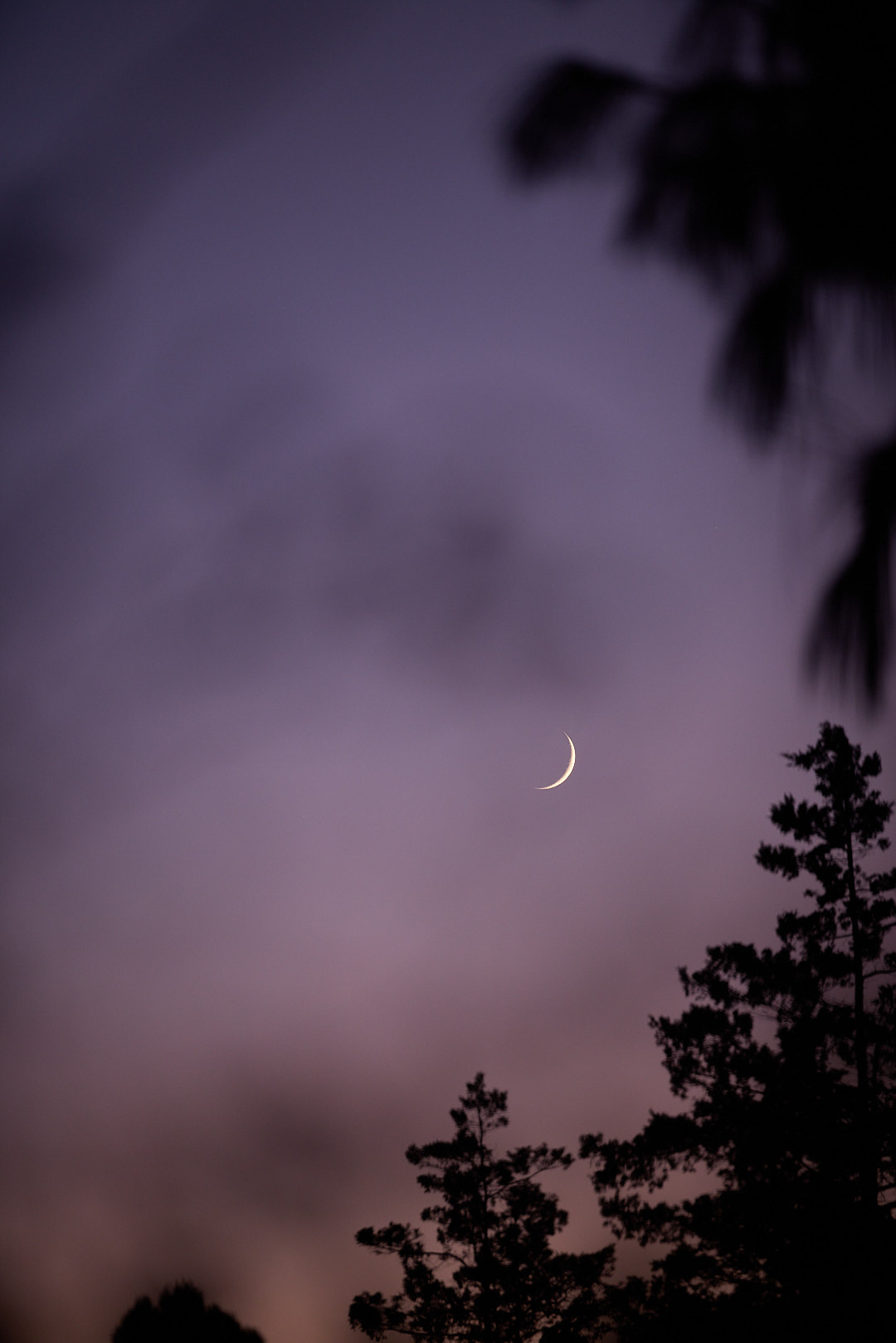 2024-12-03 ~ _R5_4809.jpg