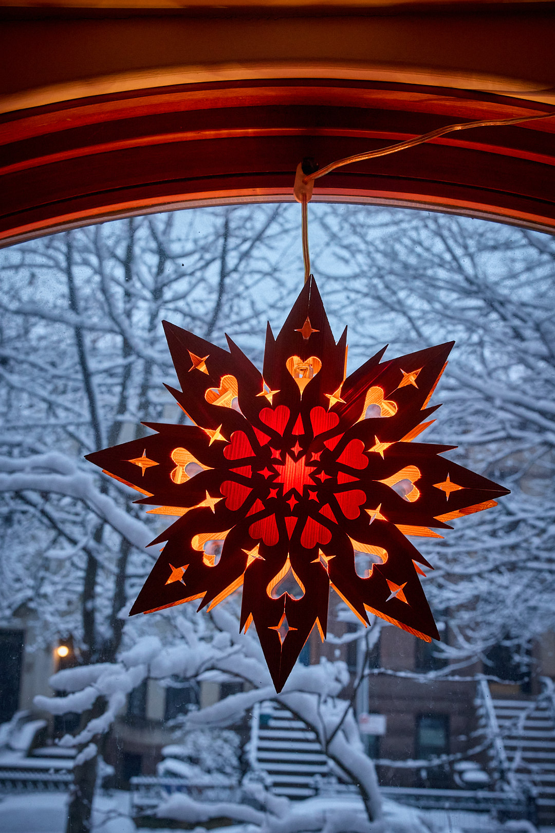 2024-12-21 ~ _R5_8766.jpg