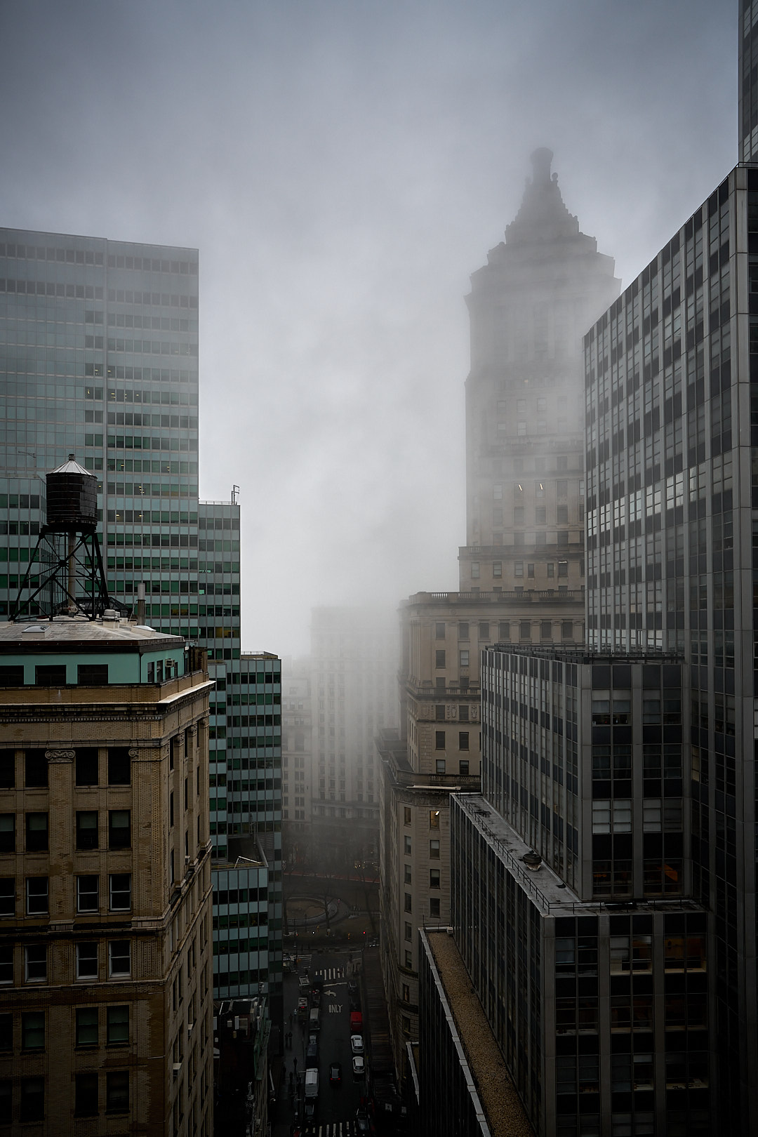 2025-02-06 ~ A7C09931.jpg