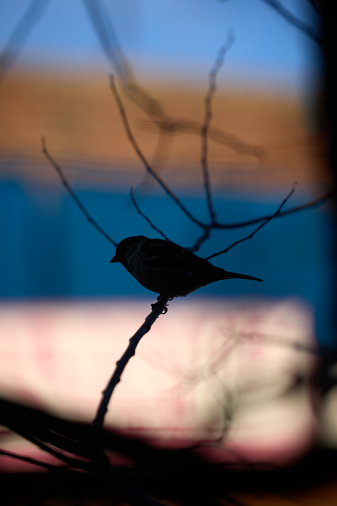 2025-02-07 ~ _R5_7775.jpg