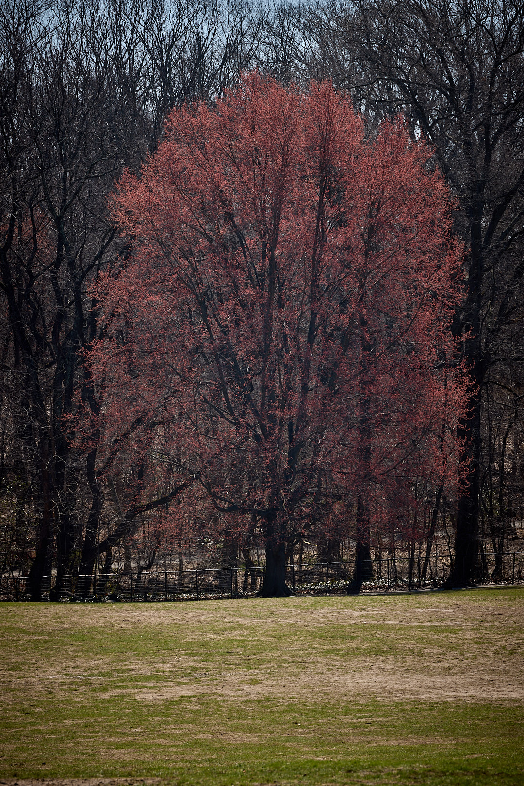 2025-03-25 ~ _R5_7513.jpg