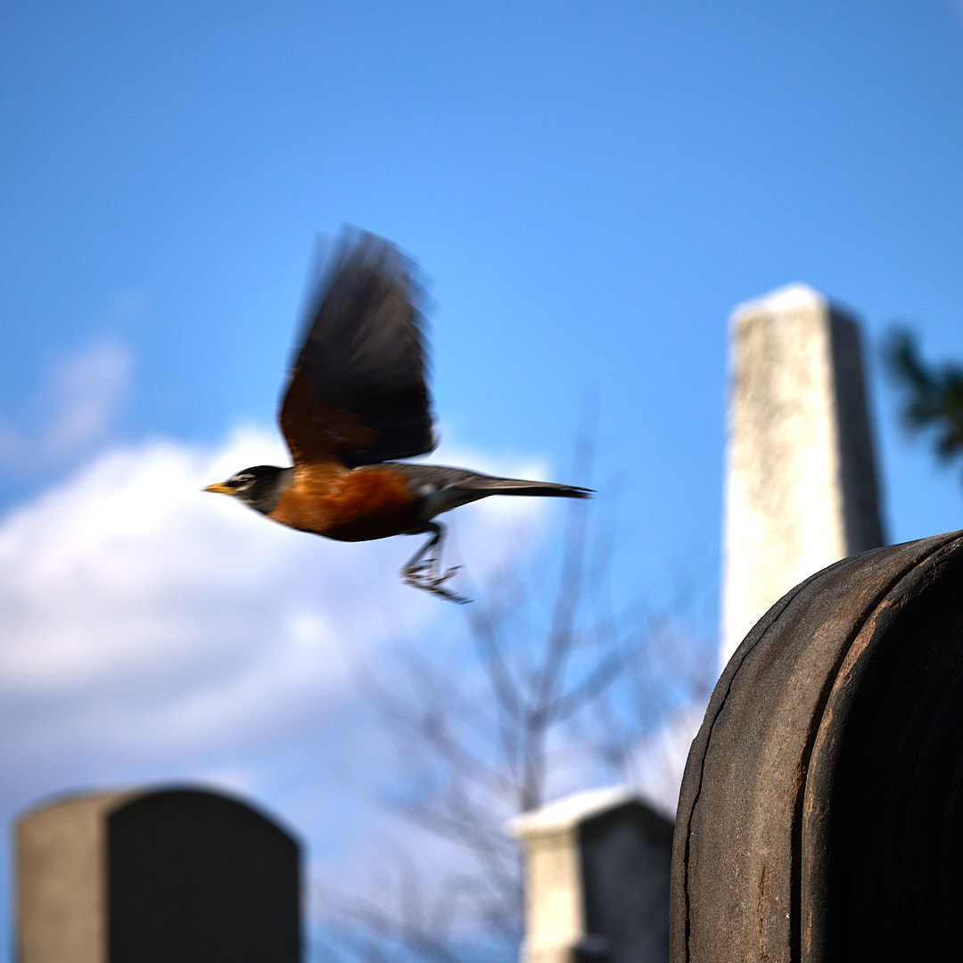 2025-03-25 ~ _R5_7627.jpg